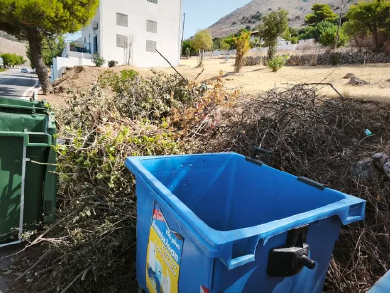 «Καμπανάκι» κινδύνου στα Φάρσα: Κλαδιά παραμένουν στον δρόμο - Έκκληση για άμεση απομάκρυνση