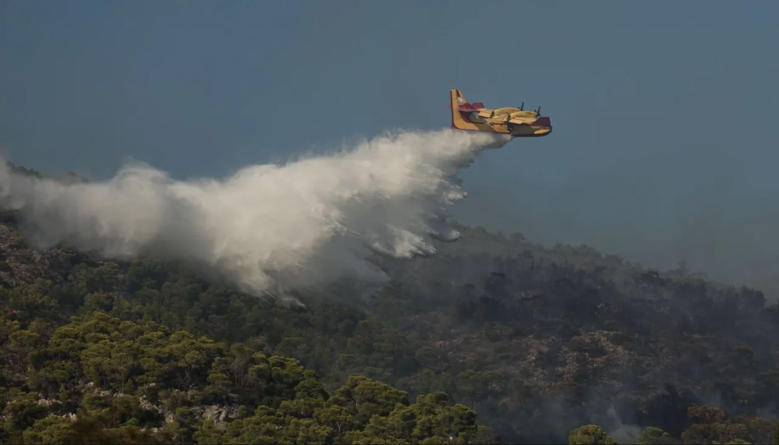 Ενισχύθηκαν οι δυνάμεις στη φωτιά στα Μέγαρα: Στη μάχη 115 πυροσβέστες και επτά ενάερια μέσα