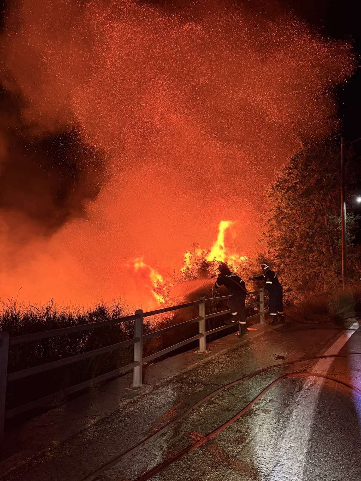Κάηκε ο Ελειός αλλά δεν κάηκαν οι ευθύνες! Άμεση και πλήρης αποζημίωση των πληγέντων – Μέτρα τώρα για την αποκατάσταση και την Αντιπυρική & Αντιπλημμυρική  Προστασία