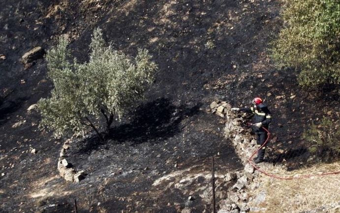 Θεσπρωτία: Πυρκαγιά από πτώση ανεμόπτερου σε ηλεκτροφόρα καλώδια – Σώος ο χειριστής