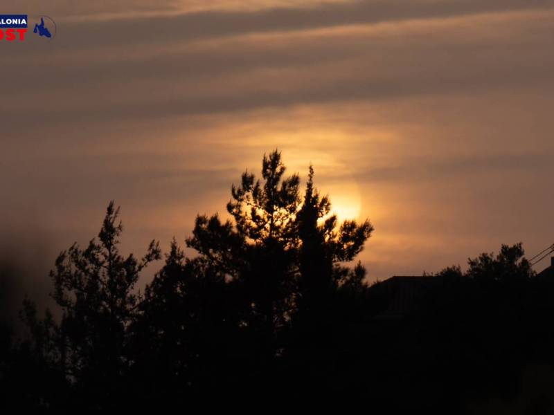 DSC00739_original